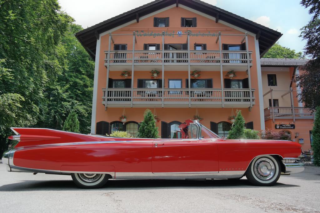 Hotel Waldgasthof Buchenhain Baierbrunn Dış mekan fotoğraf